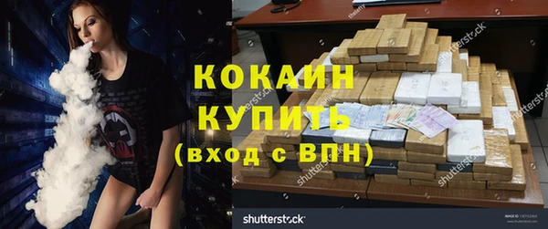 сатива Ленск
